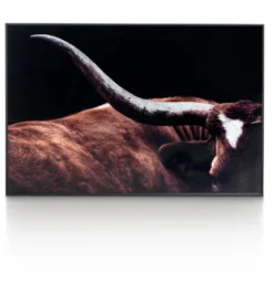 COCO maison Rodeo Schilderij