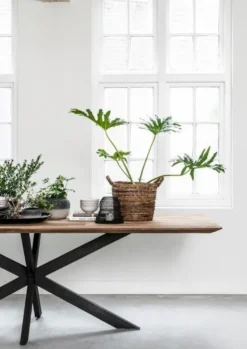 DTP Home Curves Eettafel