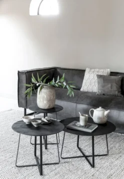 DTP Home Neptunes L Salontafel