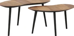 DTP Home Organus Salontafelset