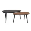 Eijerkamp Collectie Dani Salontafelset