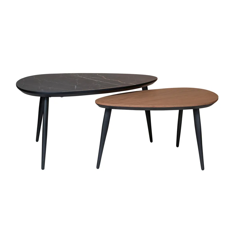 Eijerkamp Collectie Dani Salontafelset
