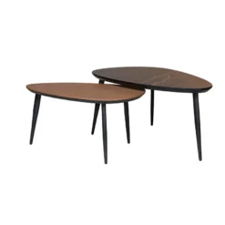 Eijerkamp Collectie Dani Salontafelset