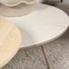 Eijerkamp Collectie Osaka Salontafel