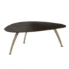Eijerkamp Collectie Pepp L Salontafel