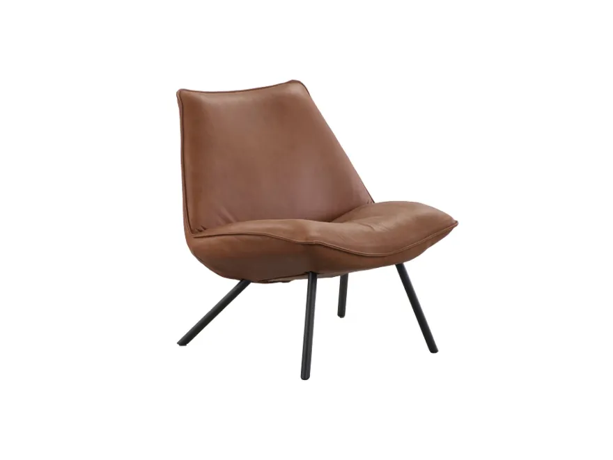 Eijerkamp Collectie Sunny Fauteuil