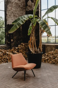 Eijerkamp Collectie Sunny Fauteuil