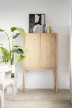 Eleonora Harvey Kabinet