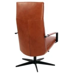 Gealux Earth Relaxfauteuil