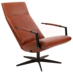 Gealux Earth Relaxfauteuil