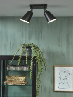 It's about RoMi Bremen 2 spots Plafondlamp