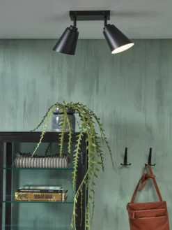 It's about RoMi Bremen 2 spots Plafondlamp