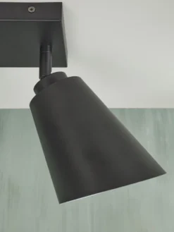 It's about RoMi Bremen 2 spots Plafondlamp