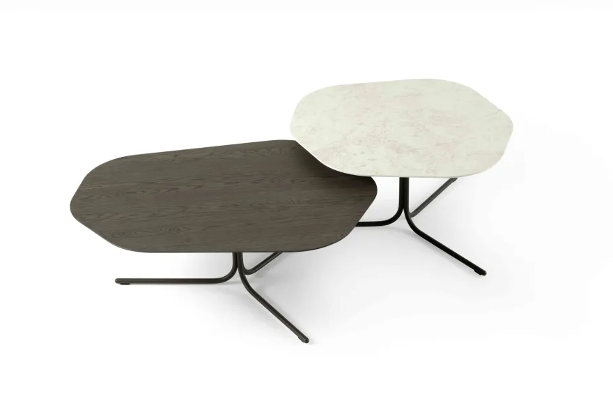 Leolux Canopy Salontafel