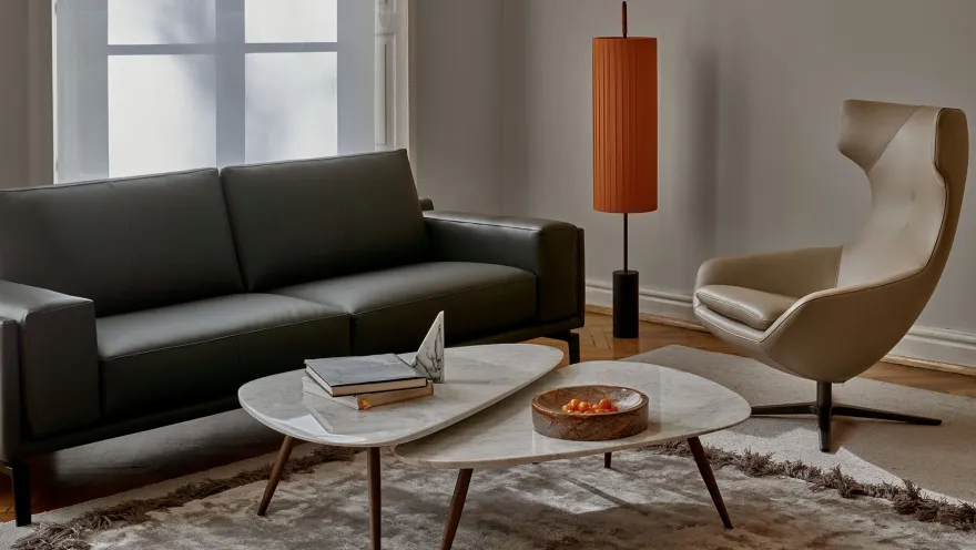 Leolux Caruzzo Primo Plus Fauteuil