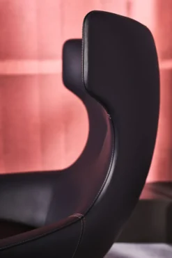 Leolux Caruzzo Primo Plus Fauteuil