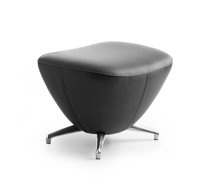 Leolux Caruzzo Primo Plus Fauteuil