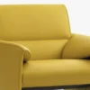 Leolux Felizia Fauteuil