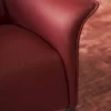 Leolux Mayuro Fauteuil