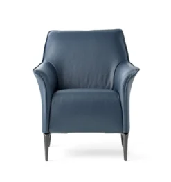 Leolux Mayuro Fauteuil