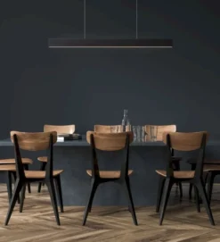 Lucide Raya Zwart Hanglamp