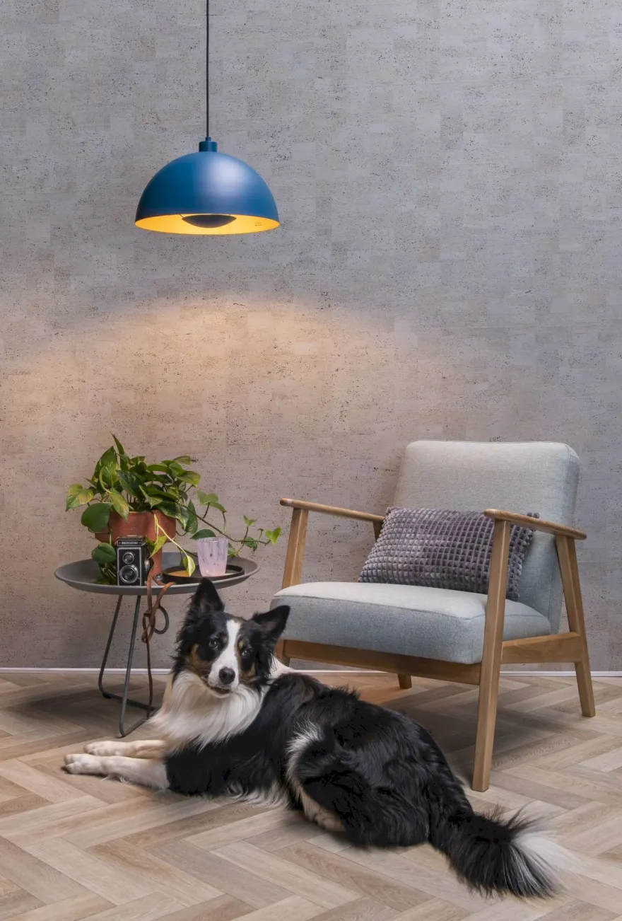 Lucide Siemon Hanglamp