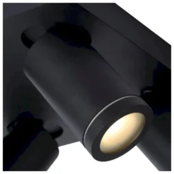 Lucide Taylor Plafondlamp