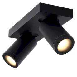 Lucide Taylor Plafondlamp