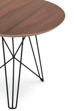Pastoe Ijhorst Bijzettafel