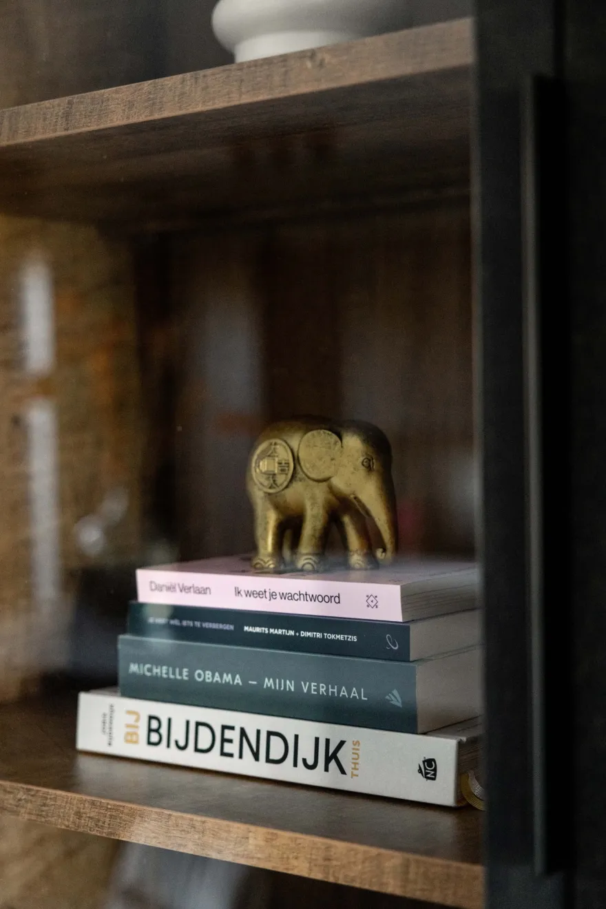 Trendhopper Gaya Vitrinekast