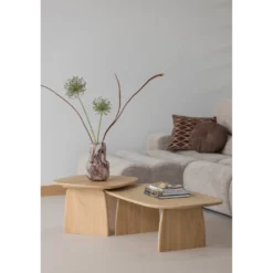 WOOOD Tablo Ovale Salontafel